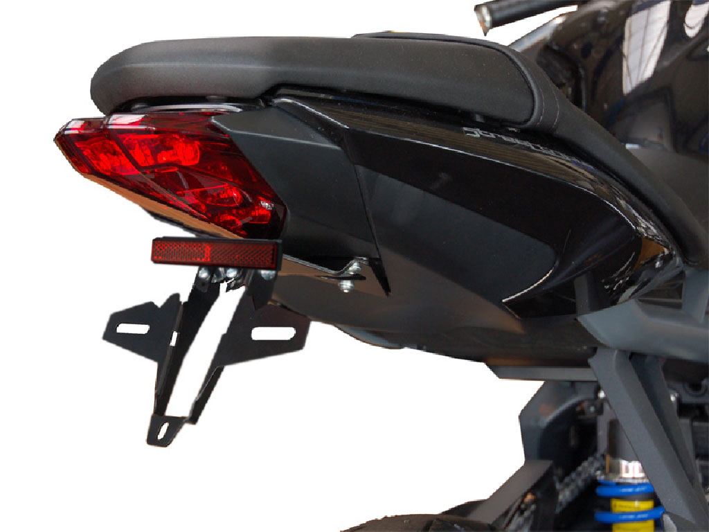 Porta targa IQ4 per Triumph Daytona 675 Daytona R (2013-2016) Portatarga IQ4 per Triumph Speed Triple 1200 RS | RR (2021-2026) (OB) (D)