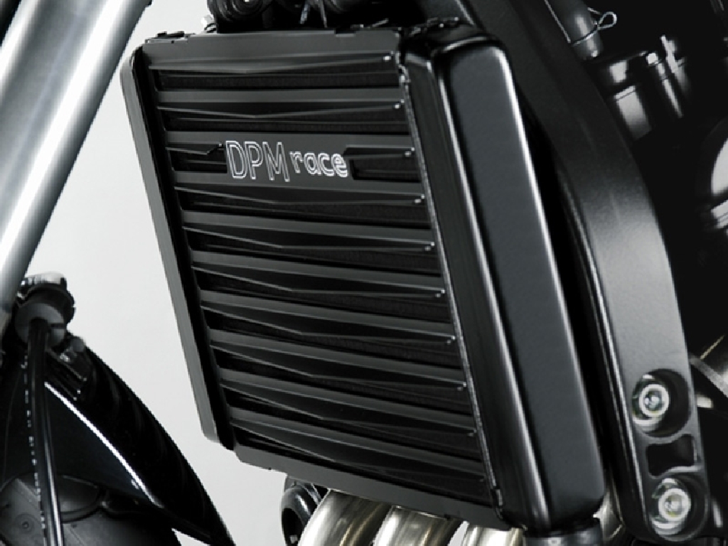 Copertura del radiatore per Honda CB600F Hornet (2011-2014)