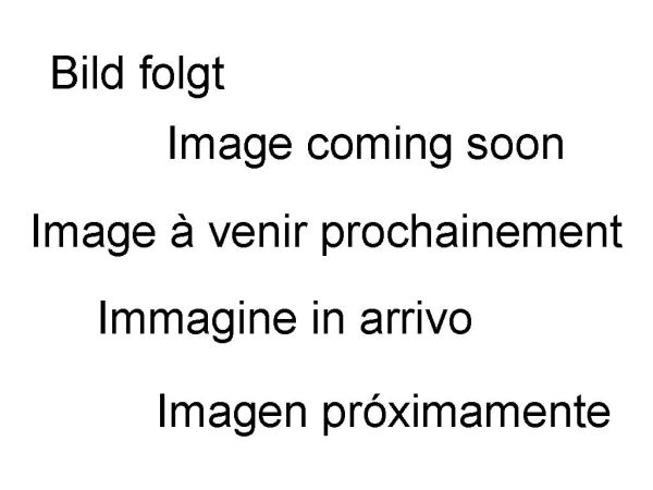 Kennzeichenhalter IQ4 für KTM 990 RC R (2026-2027)