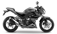 Kawasaki Z 300 2016