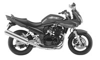 Suzuki GSF 650 Bandit 2012