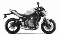 Kawasaki Z 650 2024