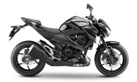 Kawasaki Z 800 e Version 2016